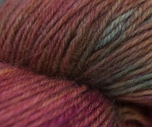 Araucania Ranco yarn shade no. 1426